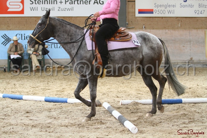 26-ApHC GT_131.jpg